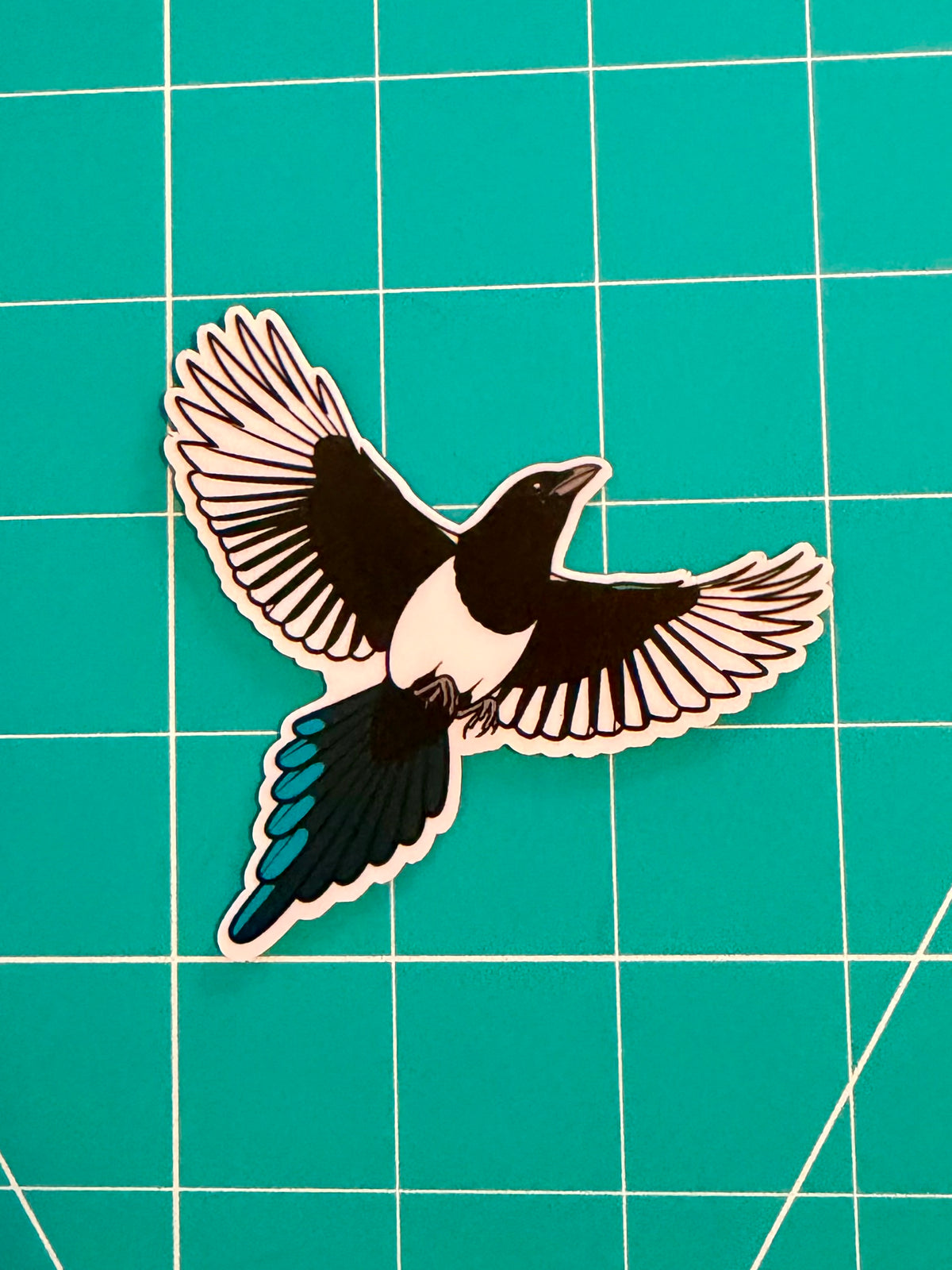 Magnet! Black-billed Magpie Fridge Magnet