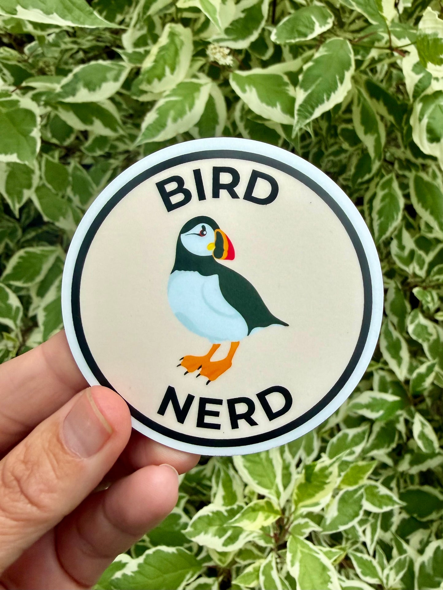 MAGNET! Bird Nerd: Atlantic Puffin, Fridge Magnet