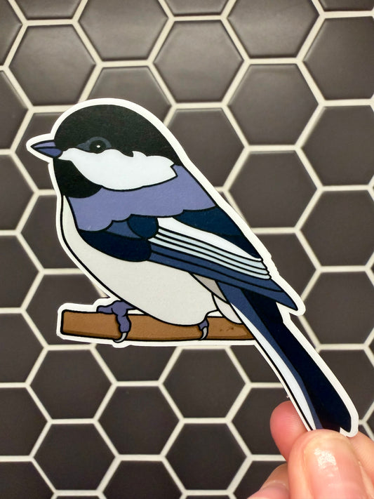 Magnet! Black-capped Chickadee Fridge Magnet