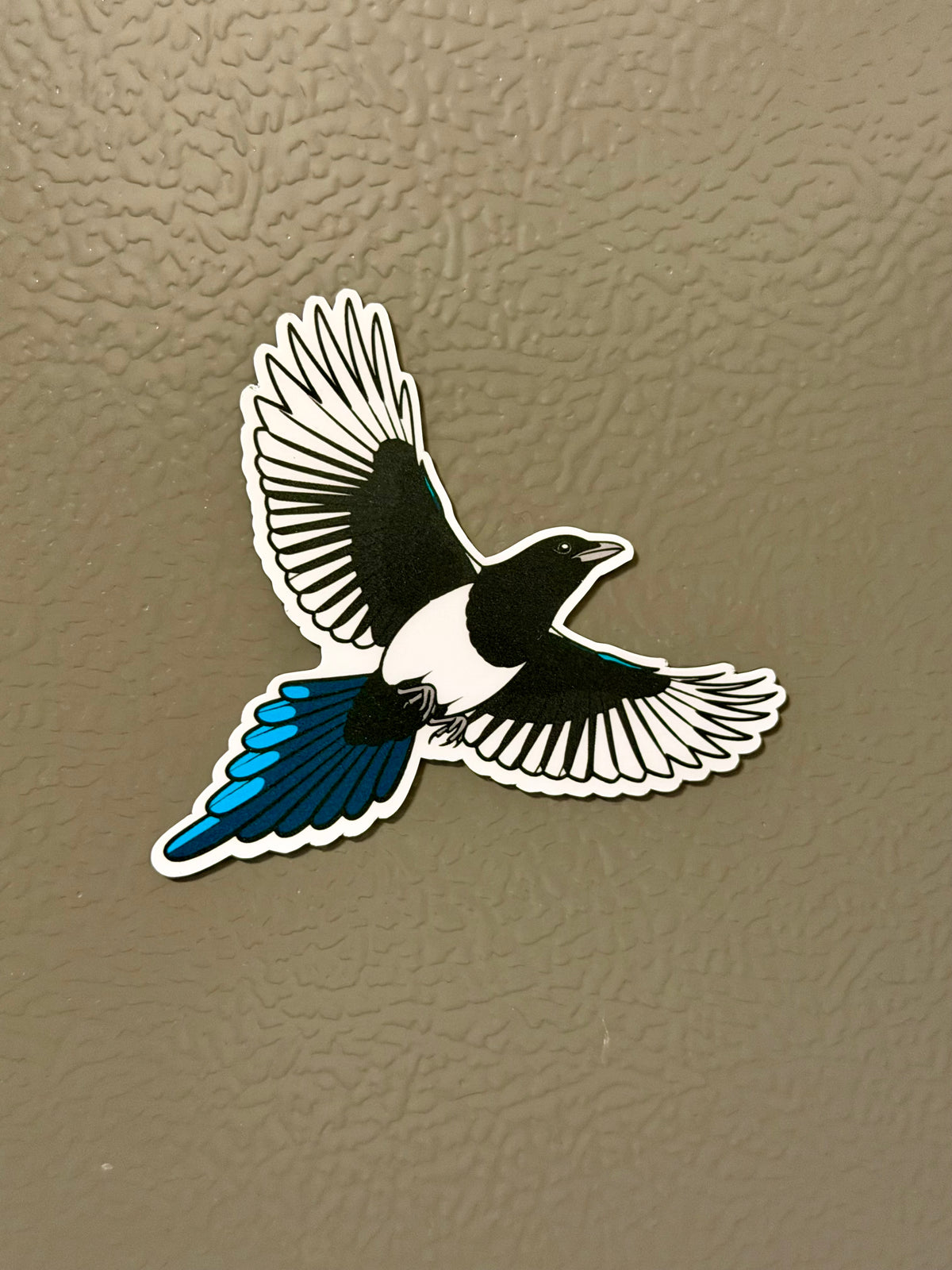Magnet! Black-billed Magpie Fridge Magnet