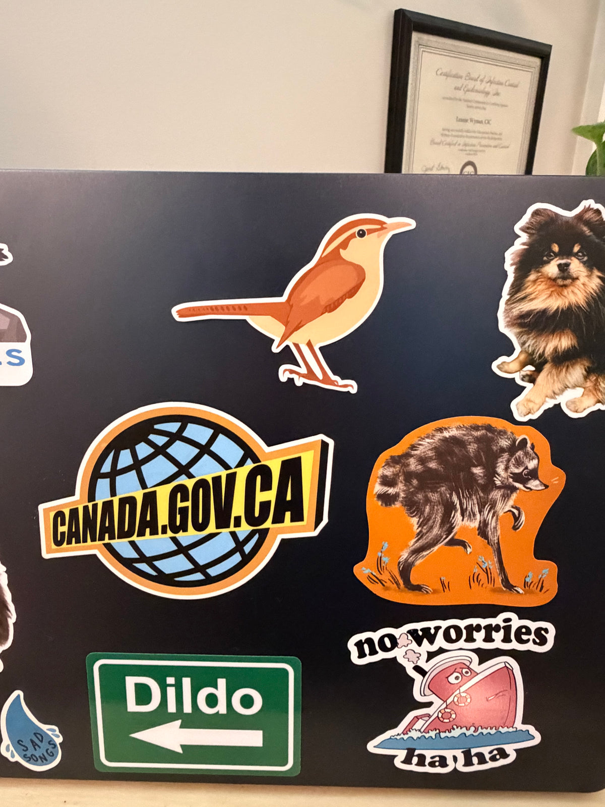 House Wren: Weatherproof Vinyl Sticker