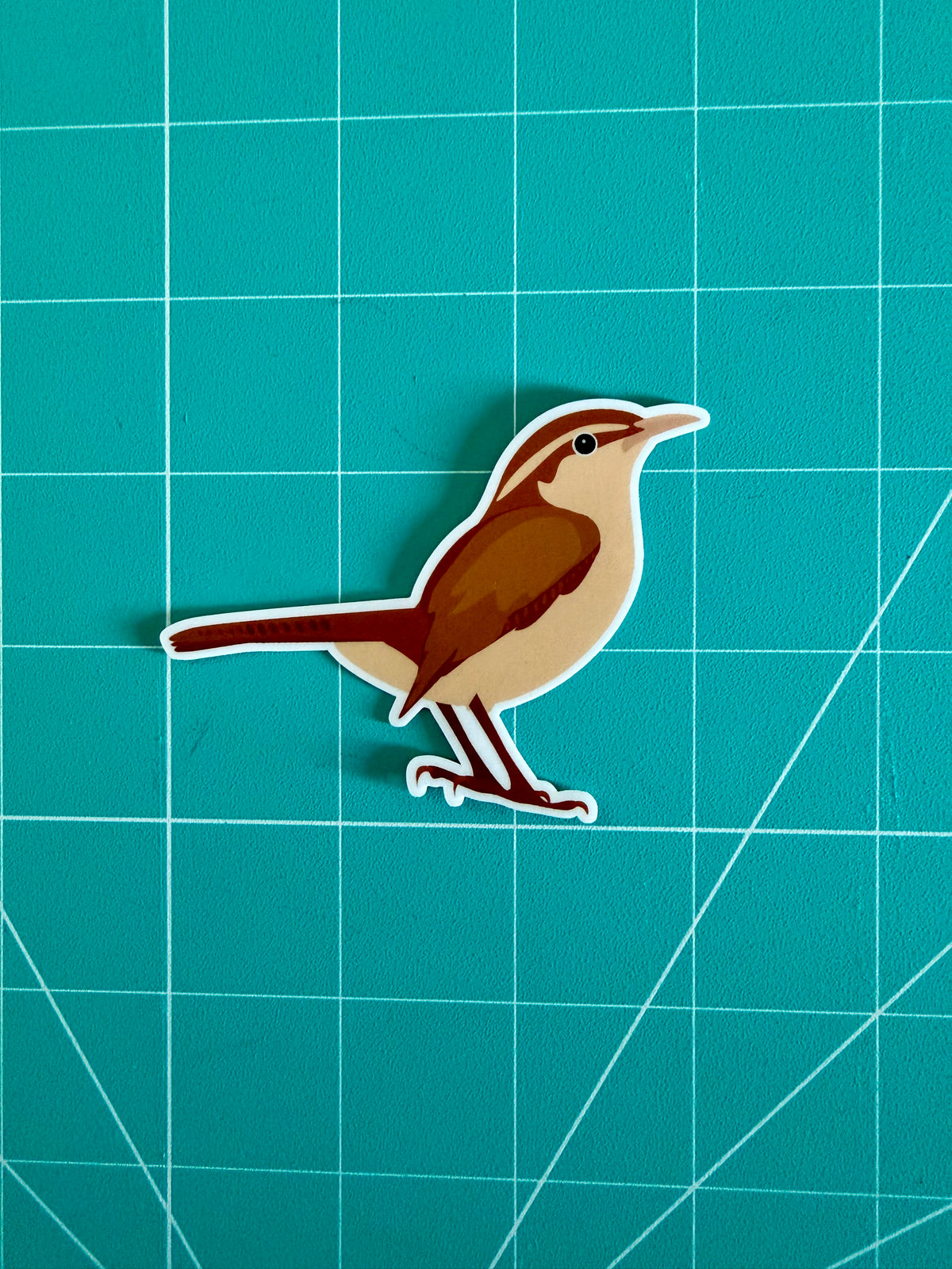 House Wren: Weatherproof Vinyl Sticker