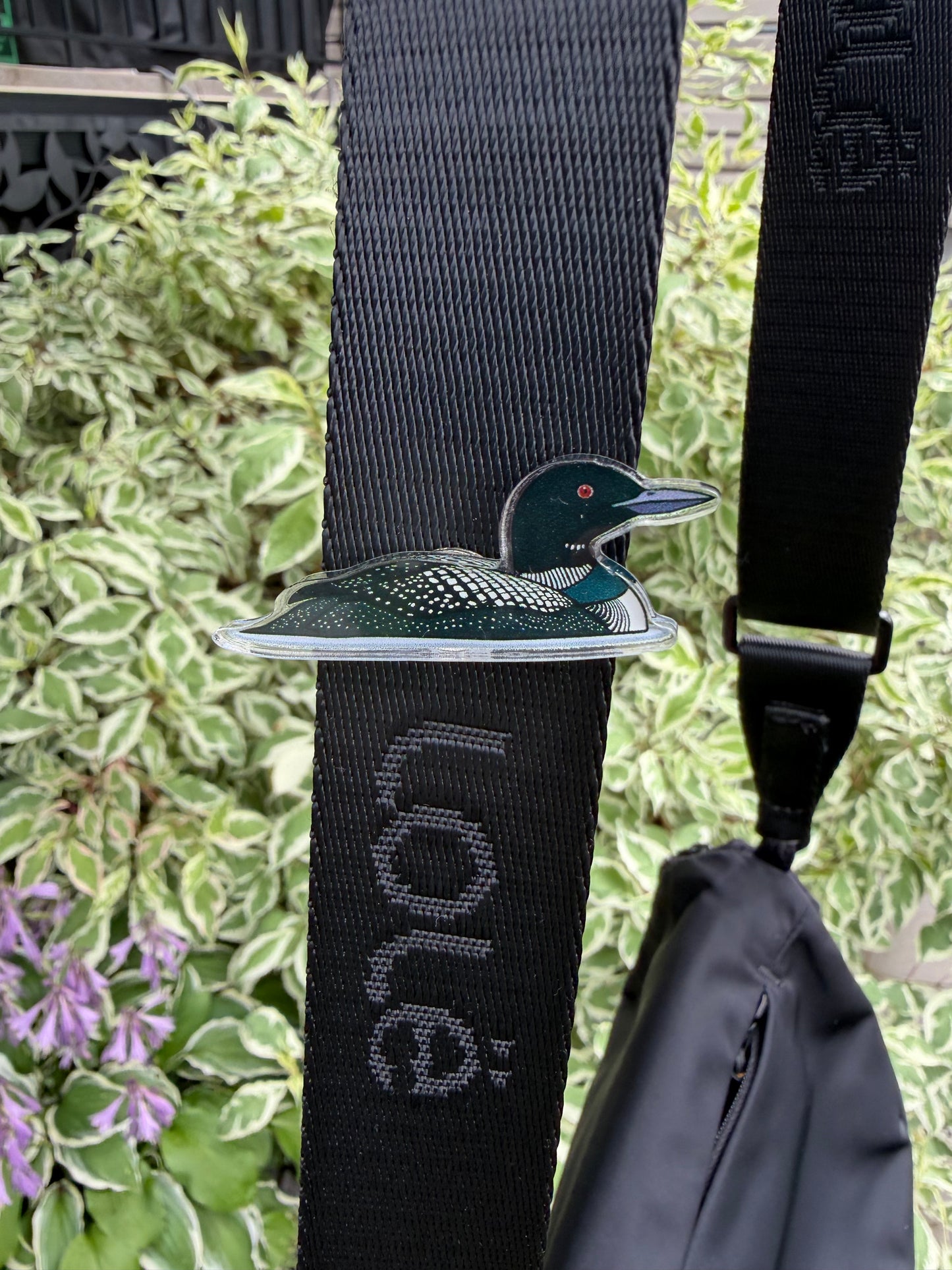 PIN! Common Loon Acrylic Pin - Bird Lover Gift
