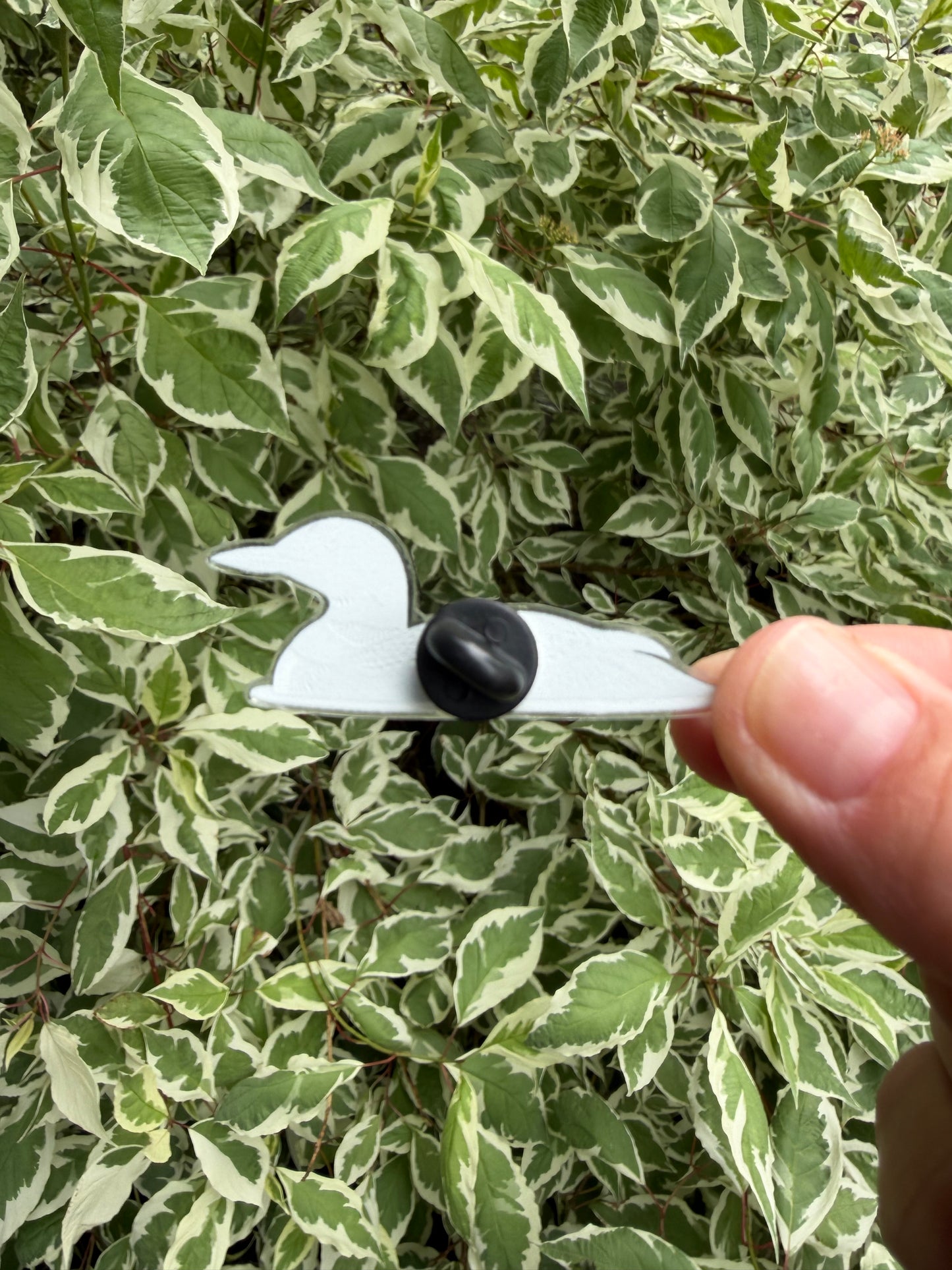 PIN! Common Loon Acrylic Pin - Bird Lover Gift