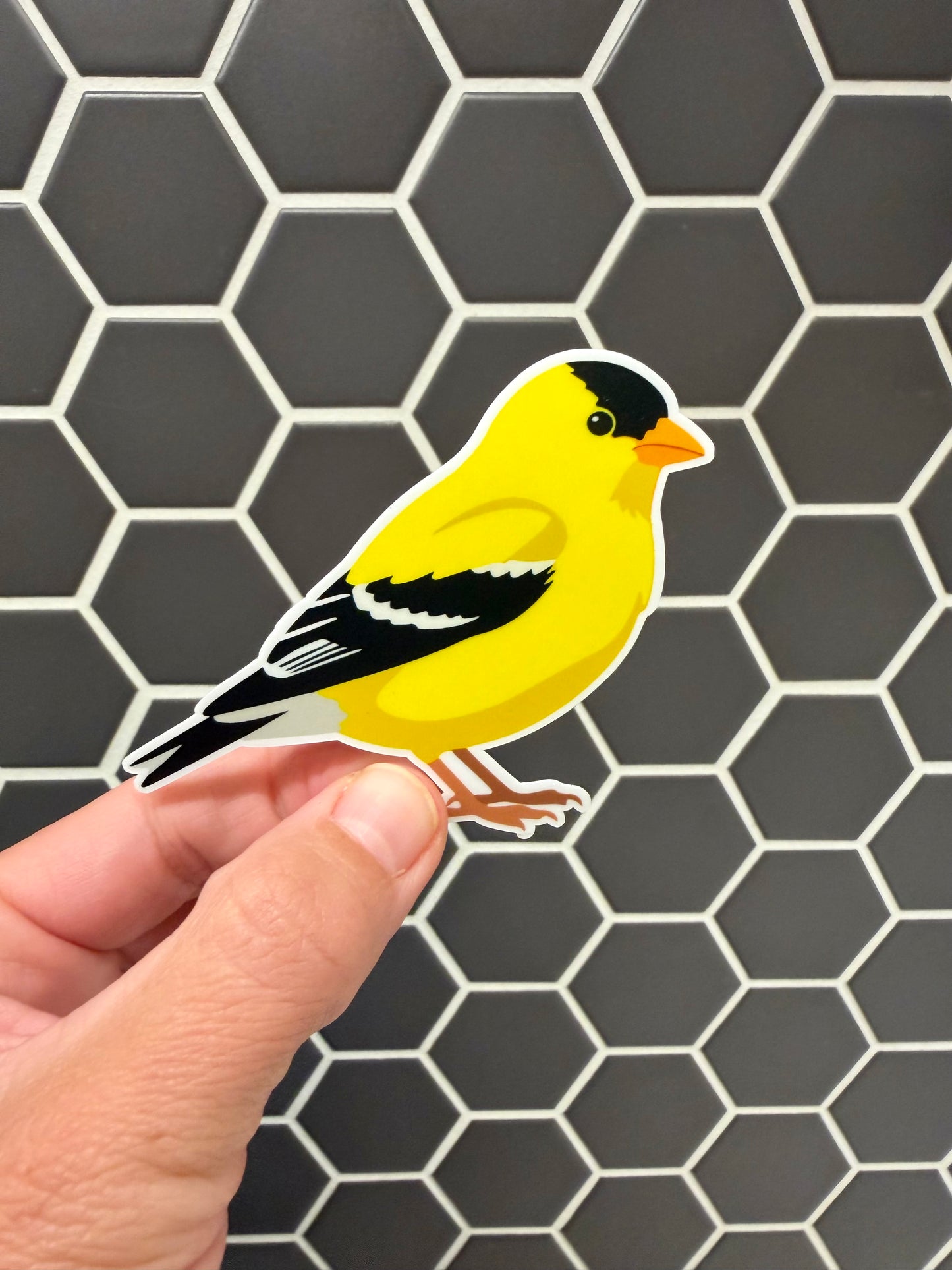 American Goldfinch Sticker: Waterproof Vinyl Decal