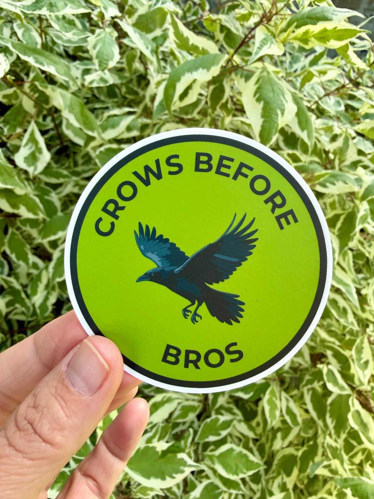Crows Before Bros Bird Sticker: Waterproof Vinyl Decal