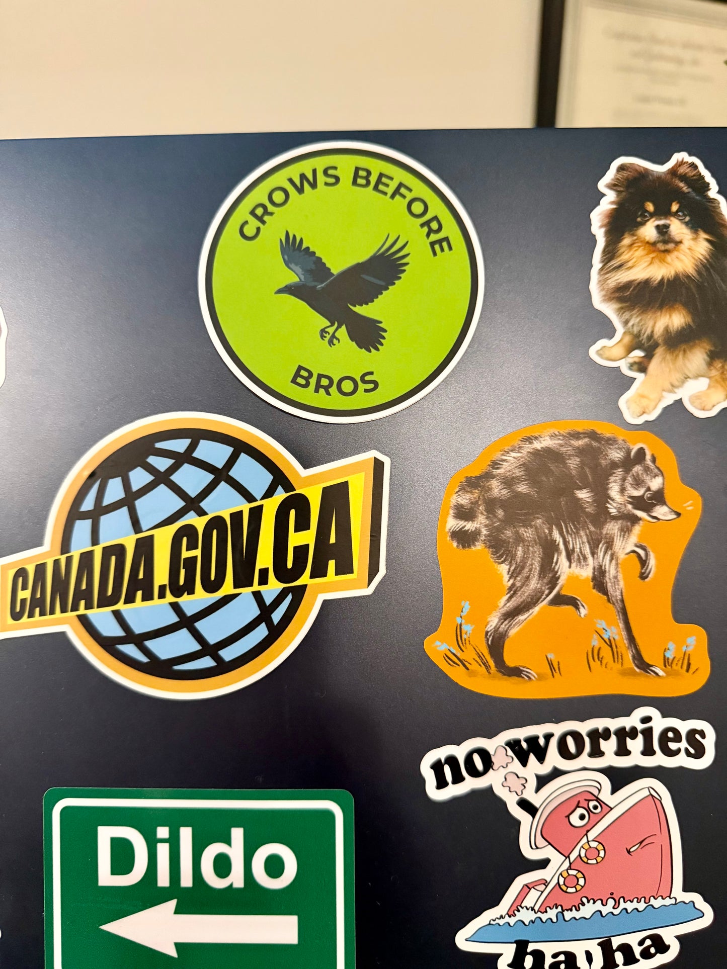Crows Before Bros Bird Sticker: Waterproof Vinyl Decal