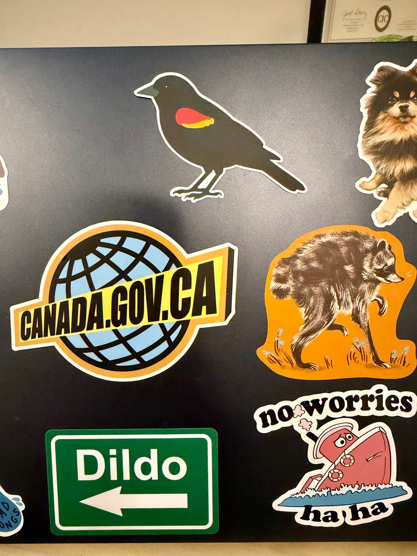 Red-winged Blackbird Sticker: Waterproof Vinyl Decal