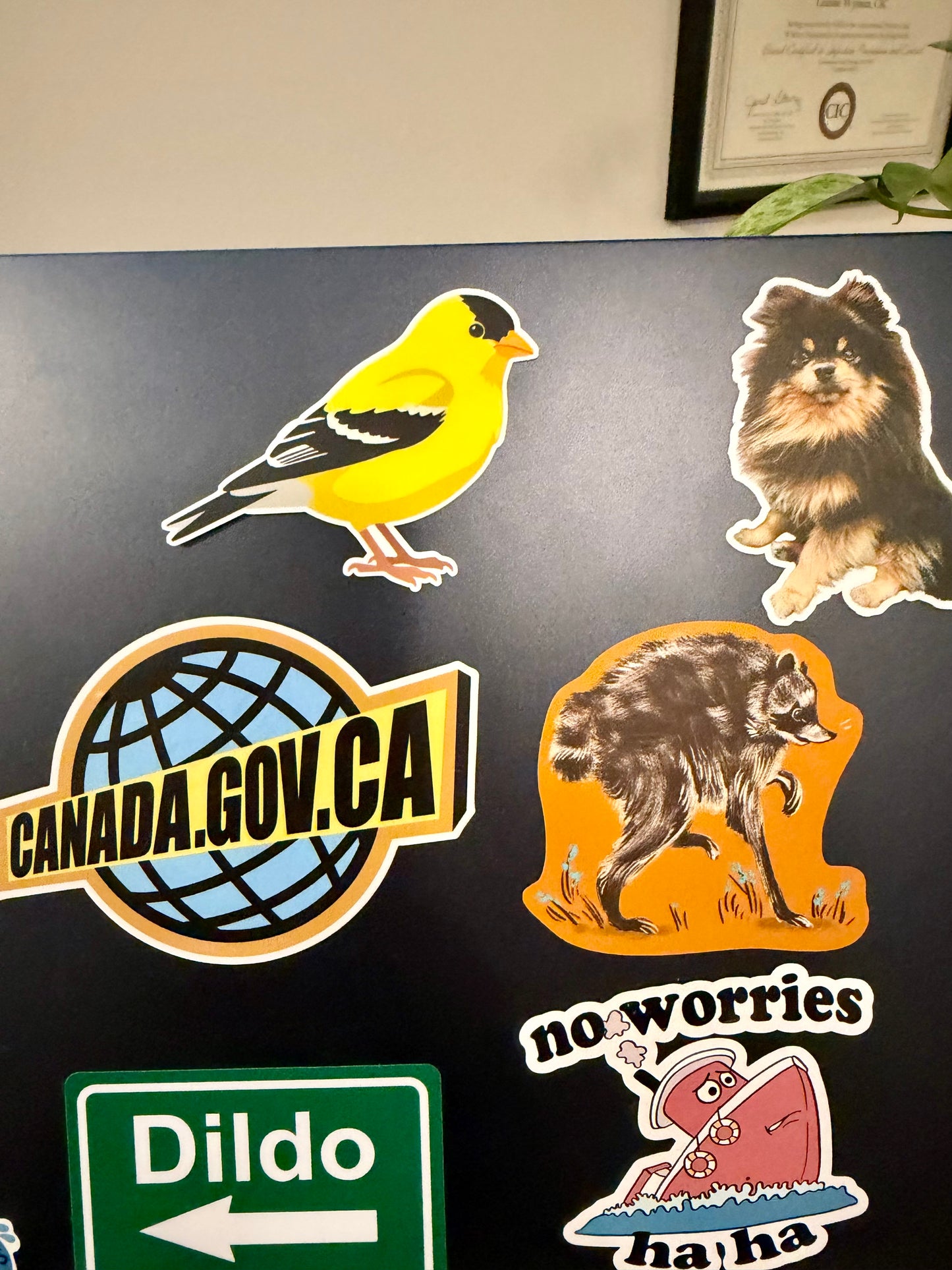 American Goldfinch Sticker: Waterproof Vinyl Decal