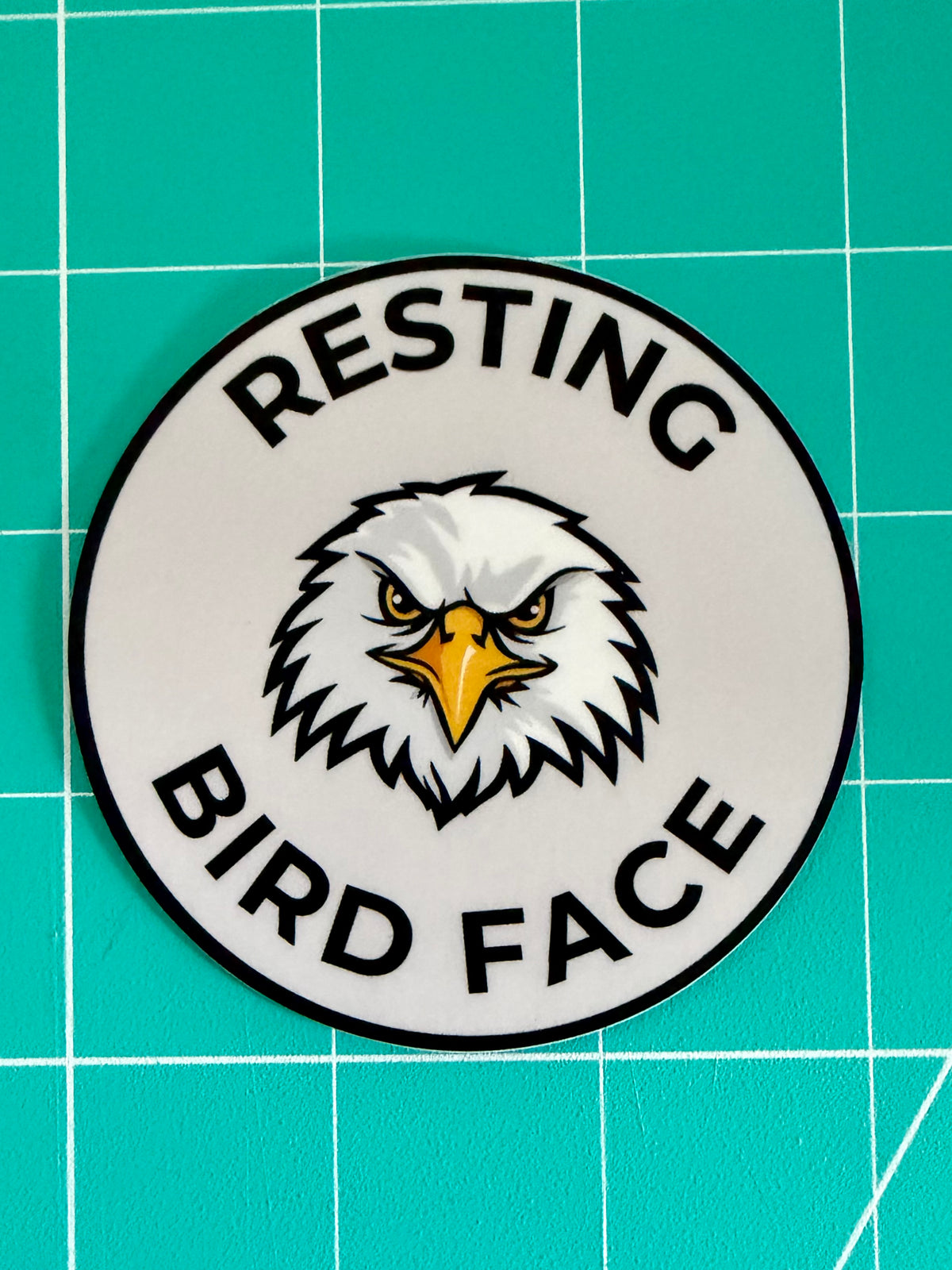 Resting Bird Face Sticker: Bald Eagle Waterproof Vinyl Decal