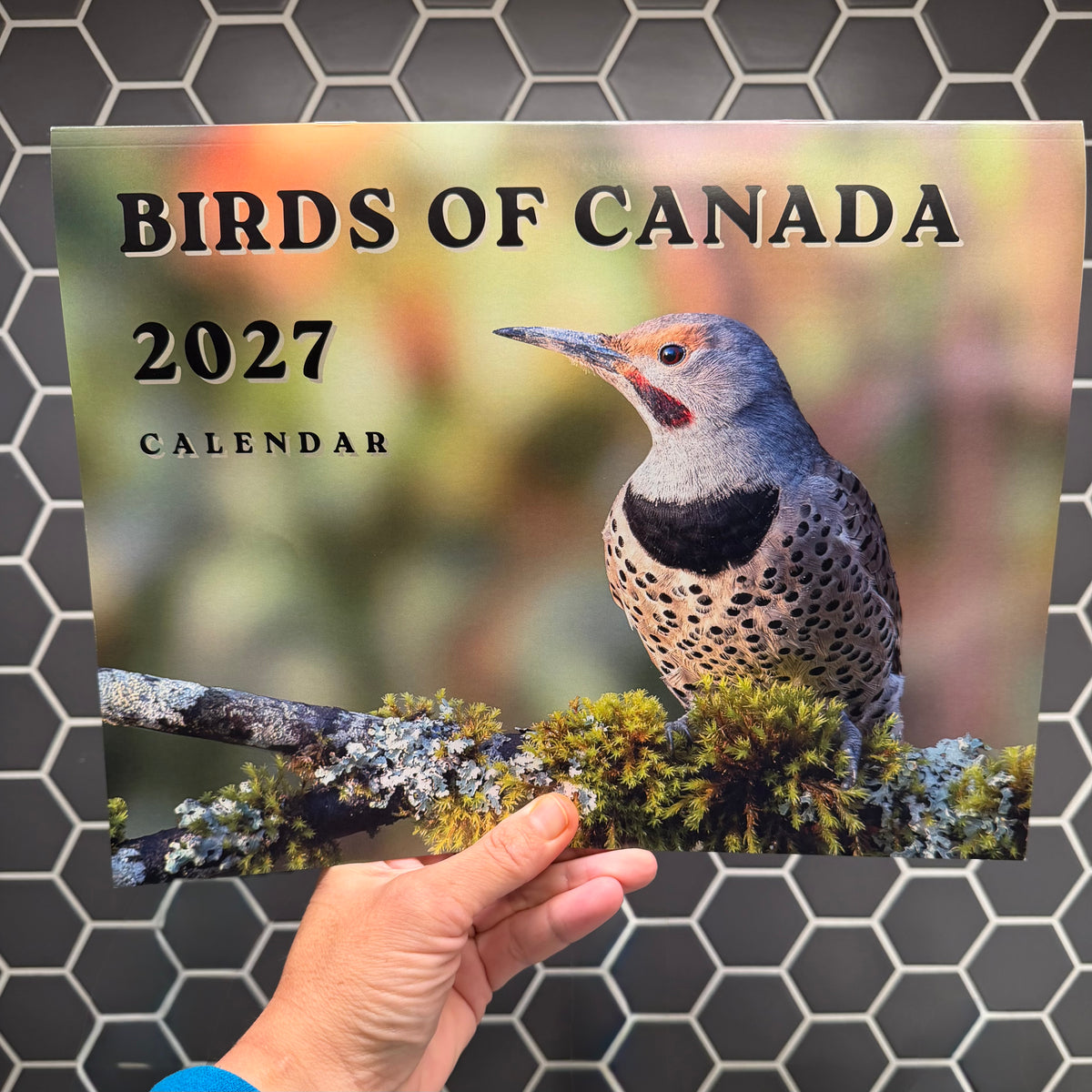 Birds of Canada 2027 Wall Calendar- Original Bird Photography