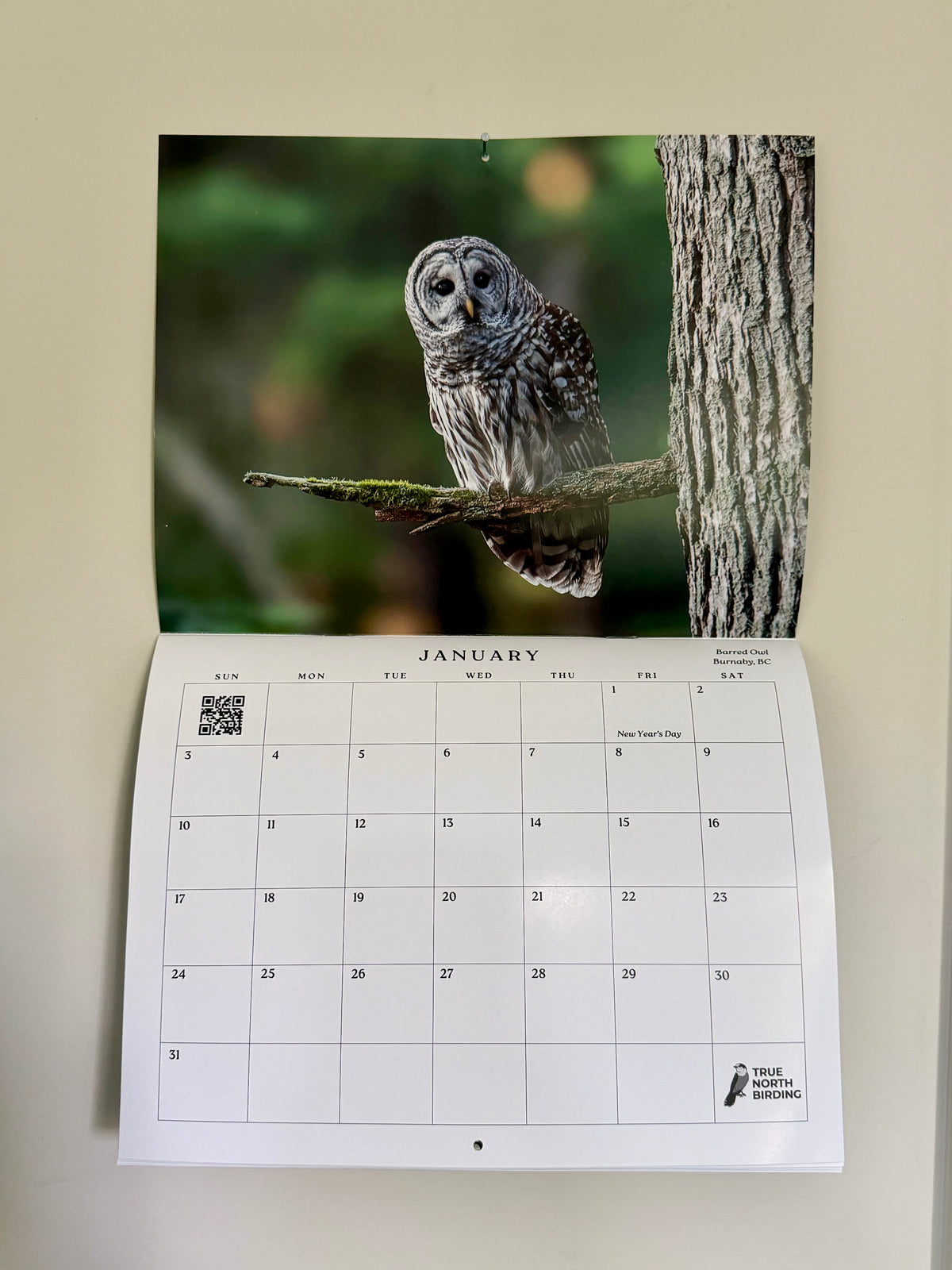 Birds of Canada 2027 Wall Calendar- Original Bird Photography