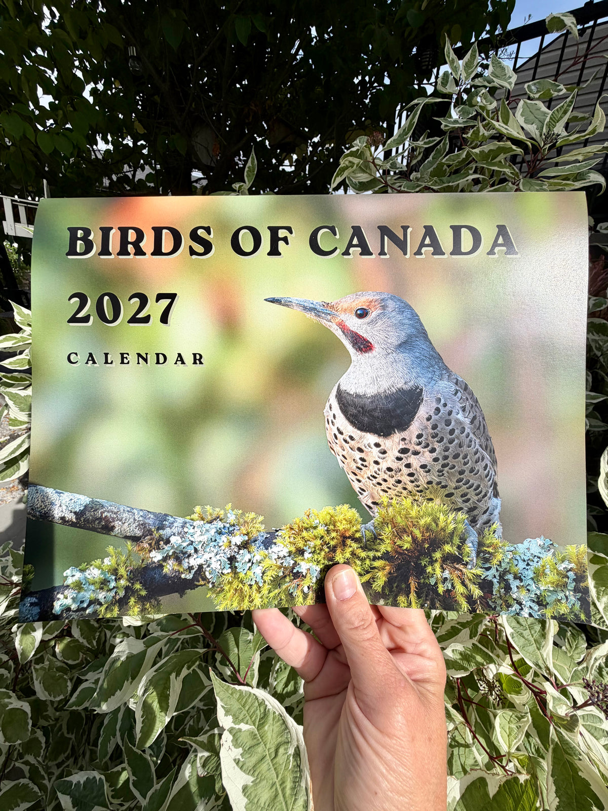 Birds of Canada 2027 Wall Calendar- Original Bird Photography