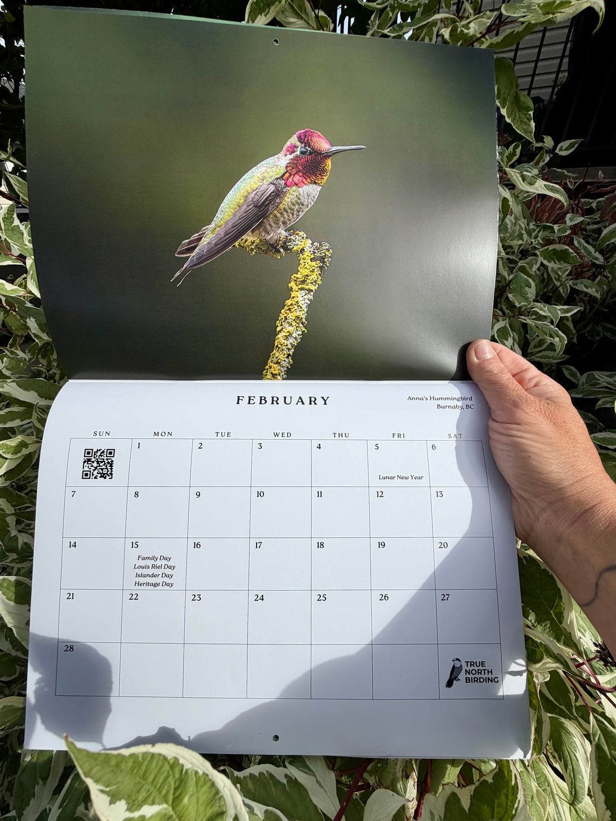 Birds of Canada 2027 Wall Calendar- Original Bird Photography