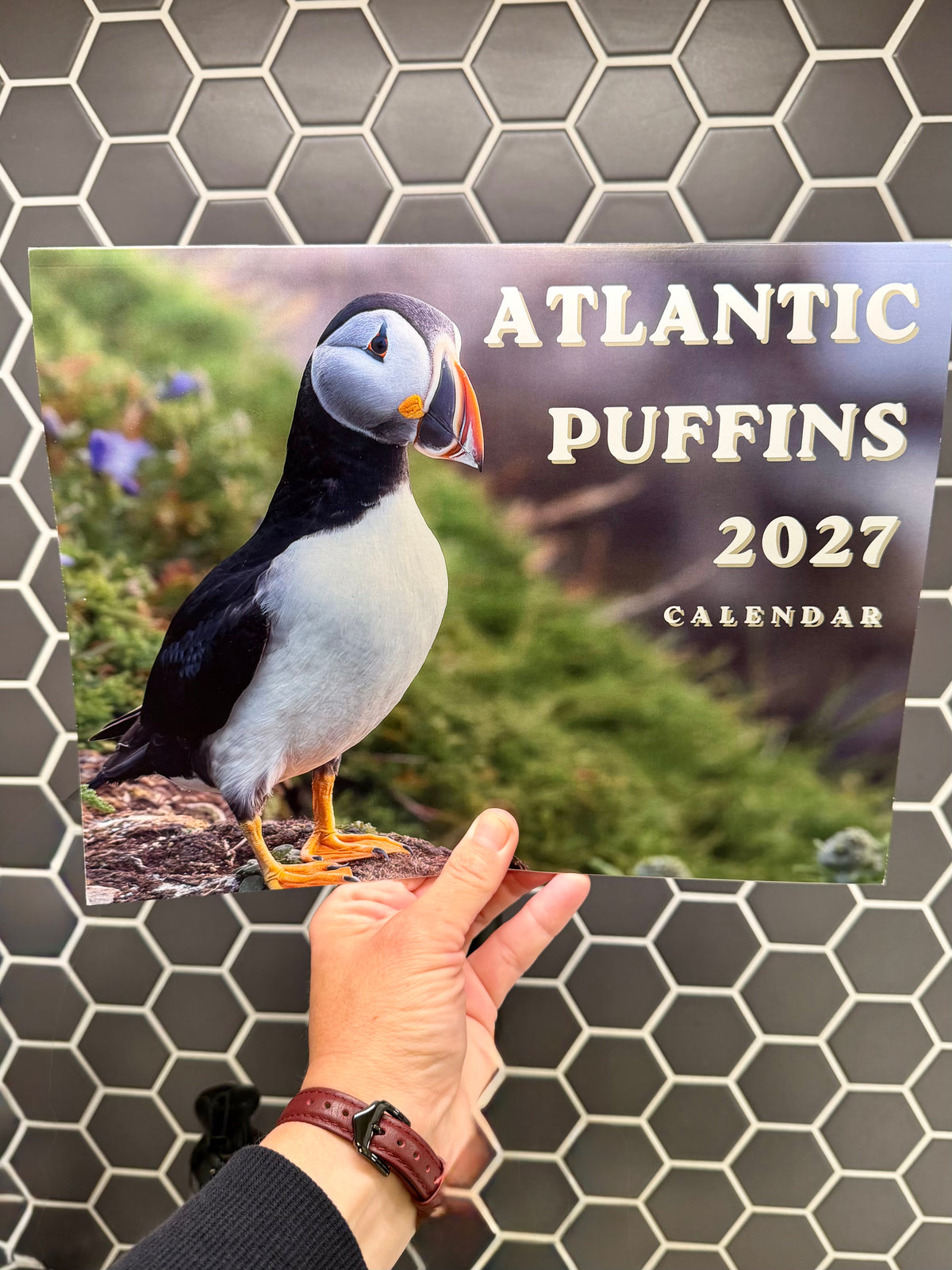 Atlantic Puffins 2027 Wall Calendar- Original Bird Photography