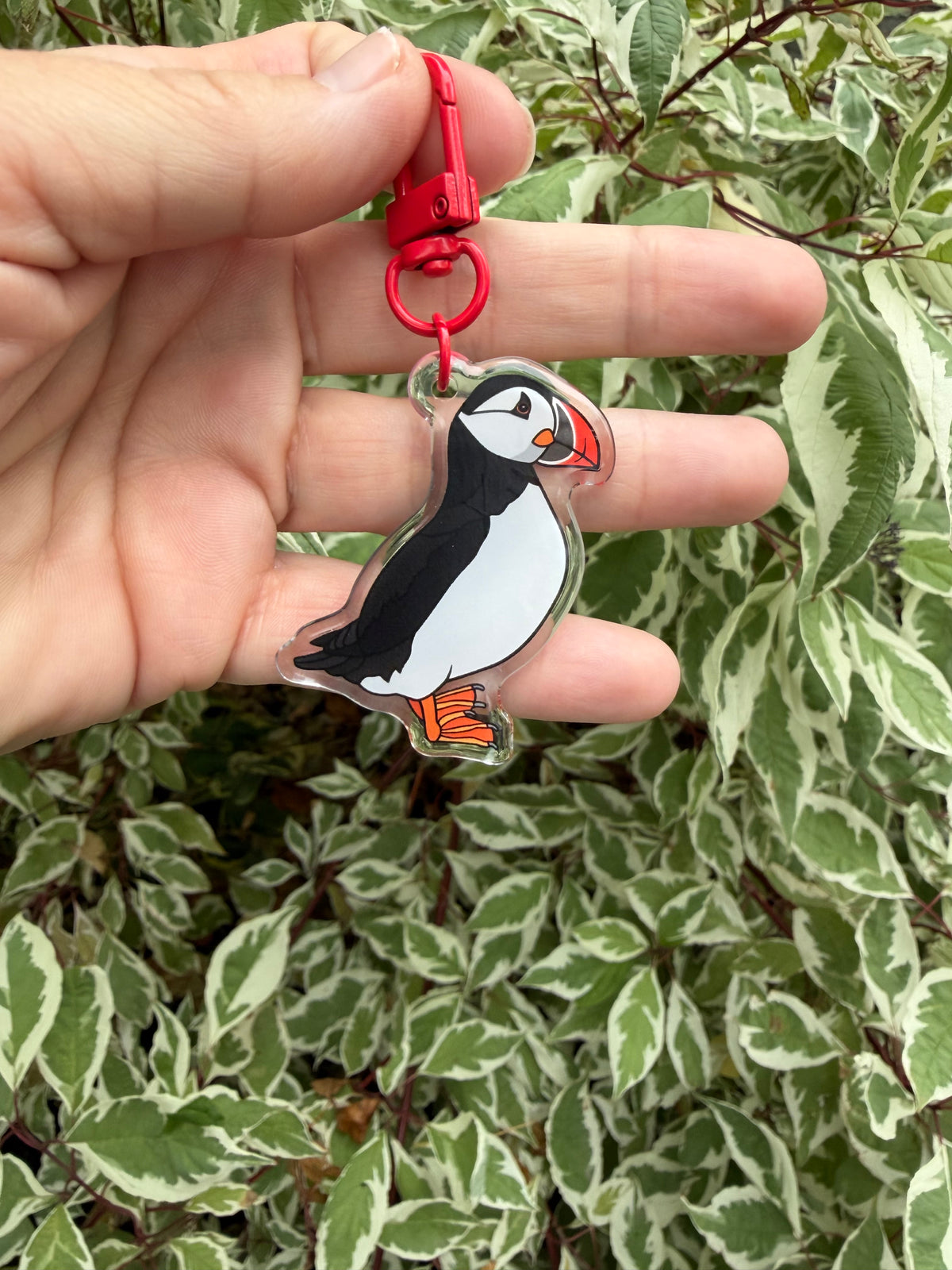 Atlantic Puffin Keychain - 2" Epoxy Acrylic Bird Charm