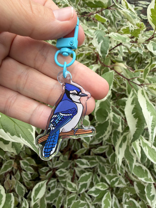 Blue Jay Keychain - 2" Epoxy Acrylic Bird Charm