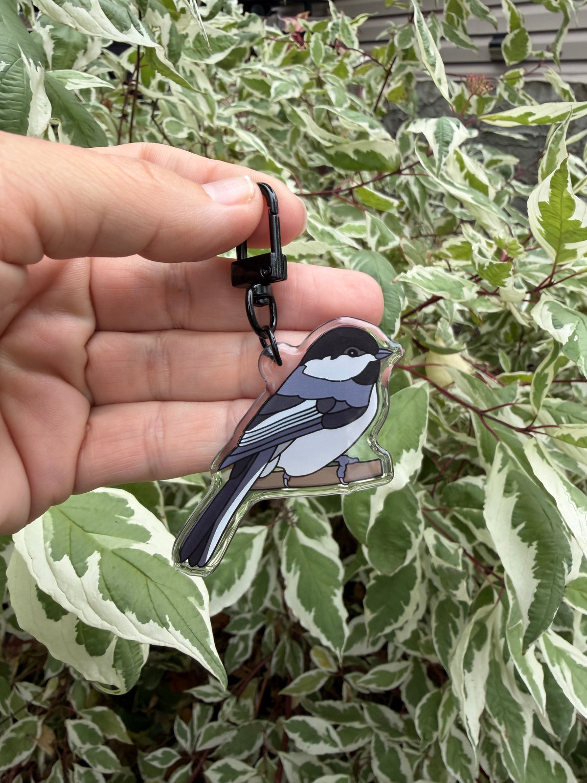 Black-capped Chickadee Keychain - 2" Epoxy Acrylic Bird Charm