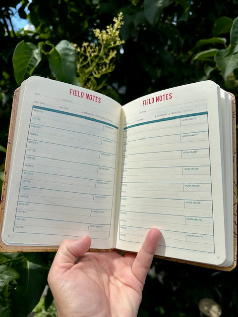 Bird Watching Gift, Get Started Birding, Learn to Birdwatch