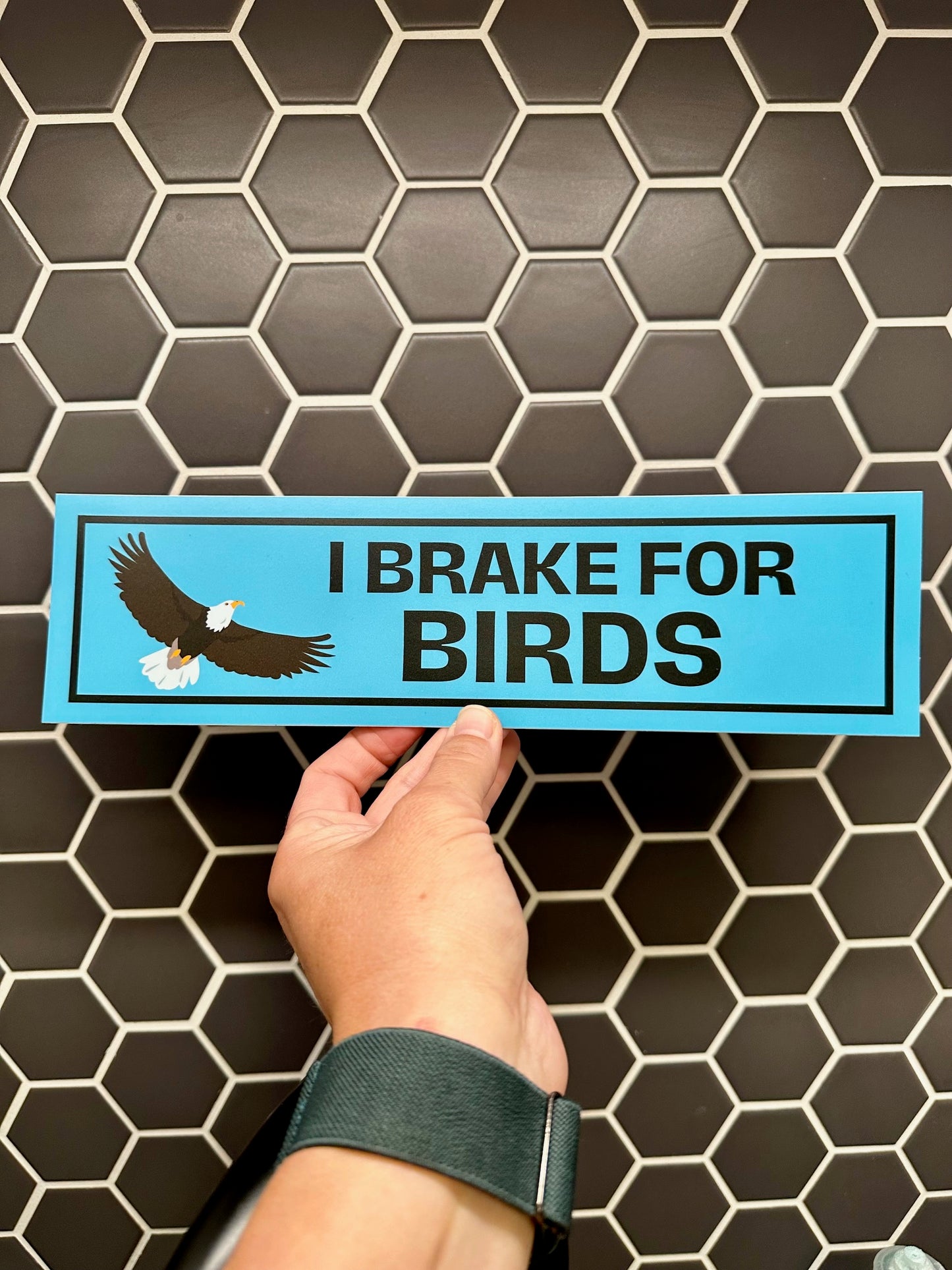 I Brake for Birds Bumper Sticker - Eagle
