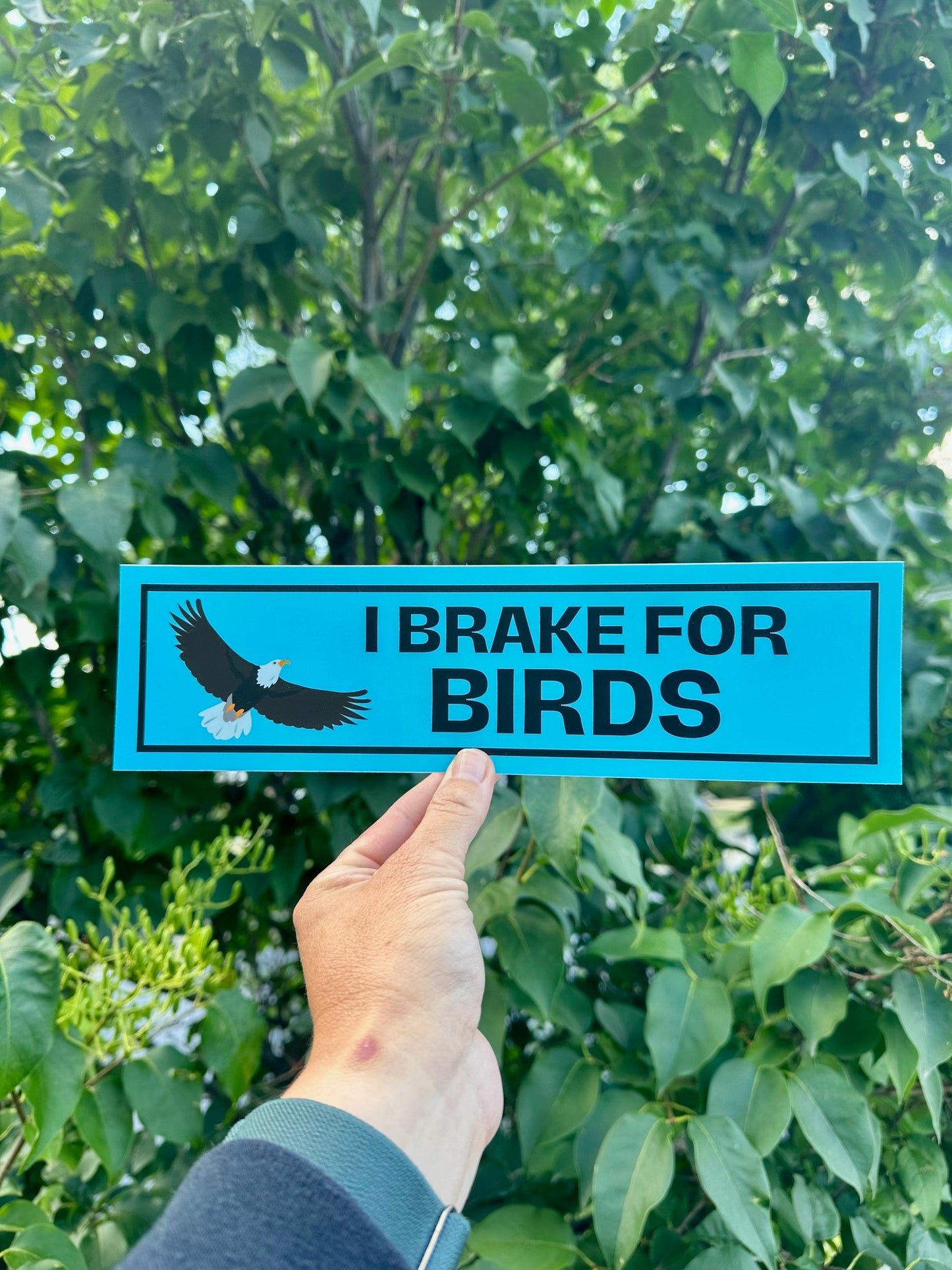 I Brake for Birds Bumper Sticker - Eagle