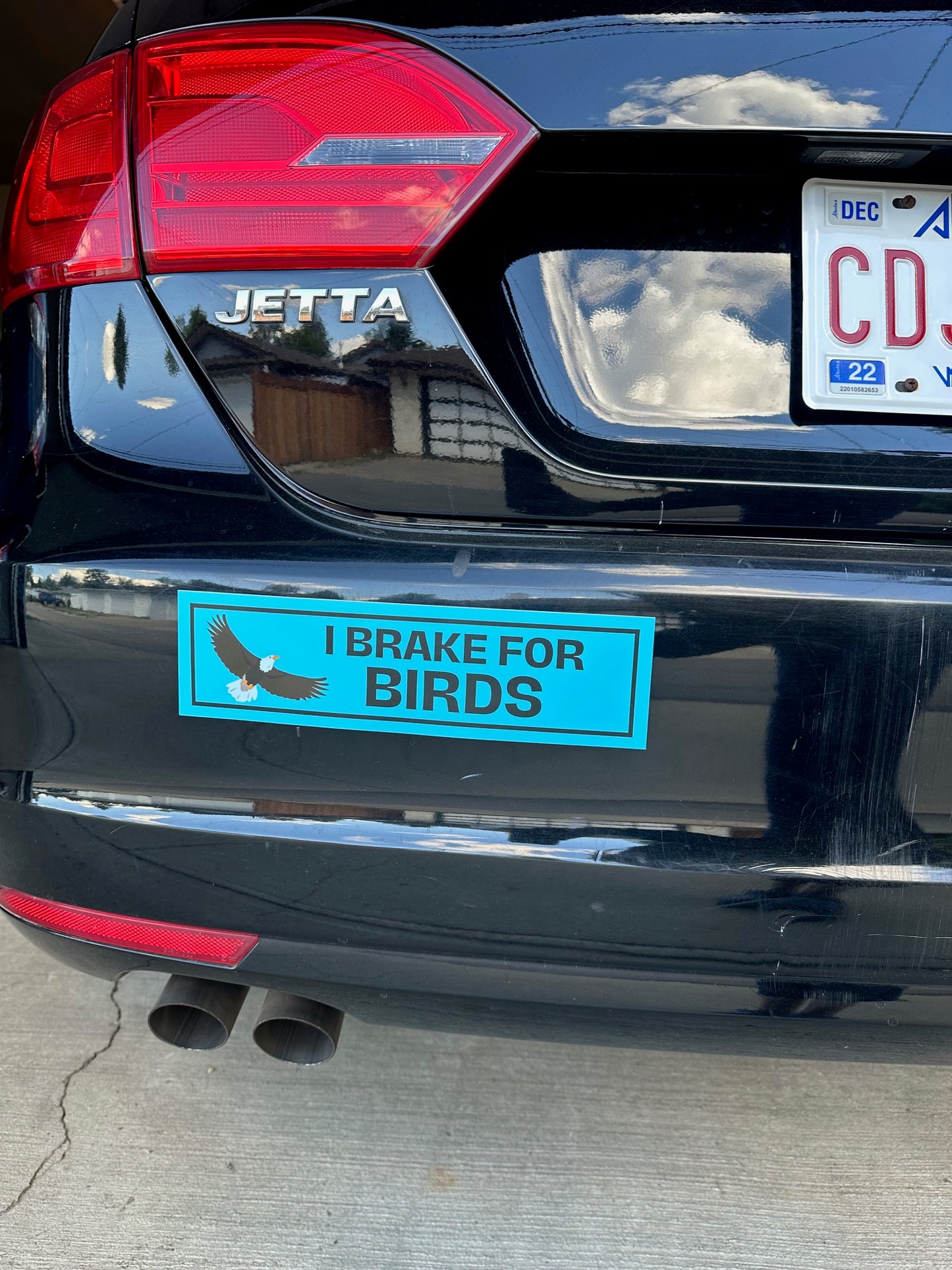 I Brake for Birds Bumper Sticker - Eagle
