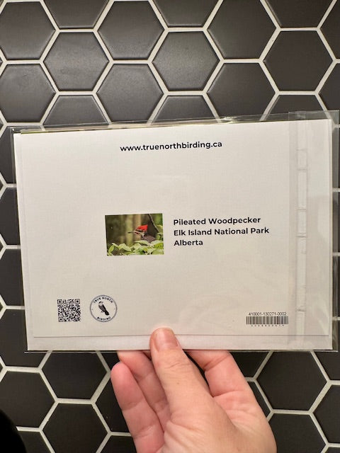 back of hard held against a tiled background