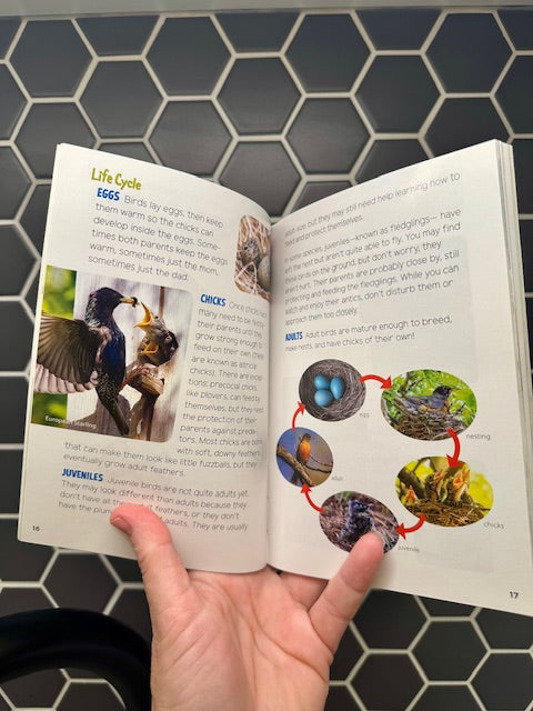 For Kids! Bird Watching Gift - Get Started Birding, Learn to Birdwatch