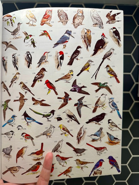 For Kids! Bird Watching Gift - Get Started Birding, Learn to Birdwatch