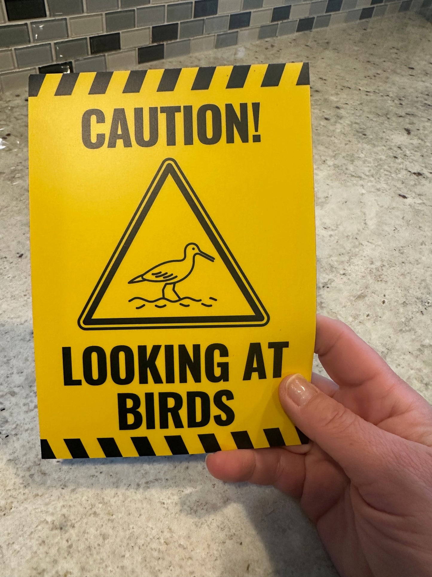 MAGNET! Caution Sign for Car While Bird Watching
