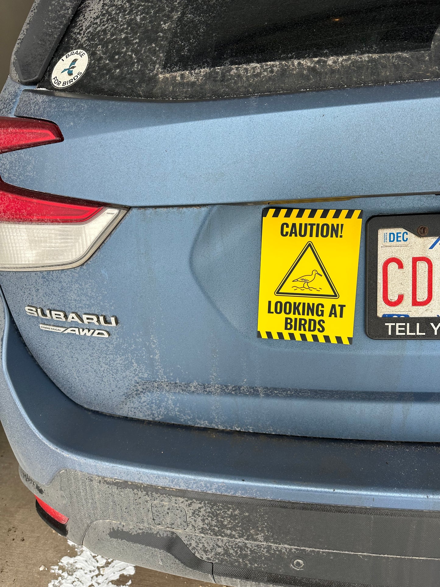 MAGNET! Caution Sign for Car While Bird Watching