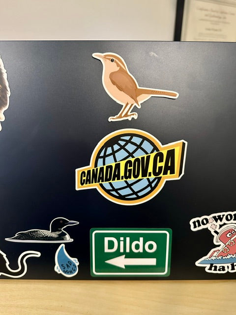 House Wren: Weatherproof Vinyl Sticker