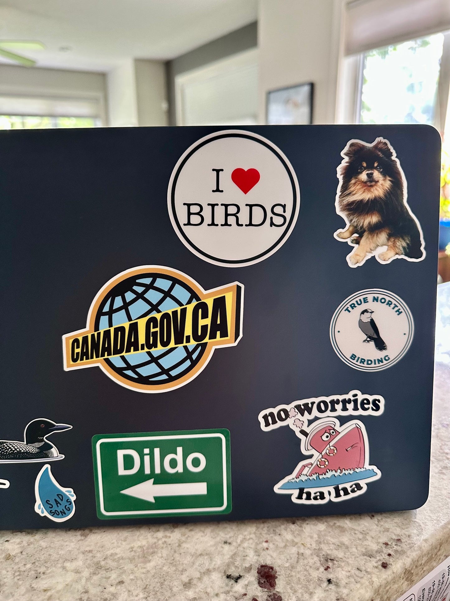 I Love Birds: I Heart Birds Waterproof Vinyl Sticker