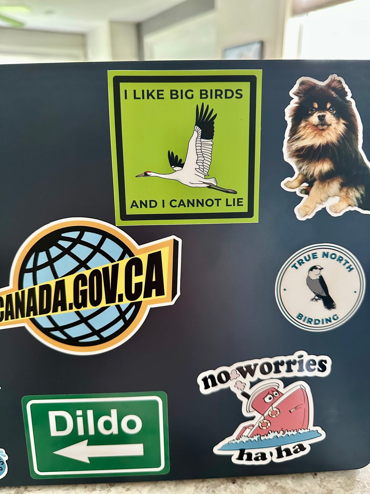 I Like Big Birds and I Cannot Lie Sticker | Weatherproof Vinyl