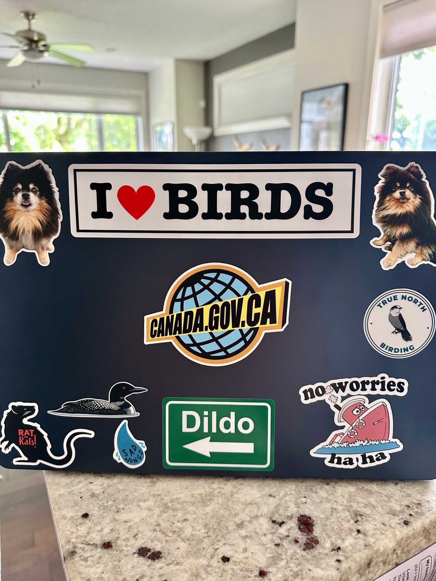 I Love Birds Bumper Sticker: I Heart Birds - Weatherproof Vinyl