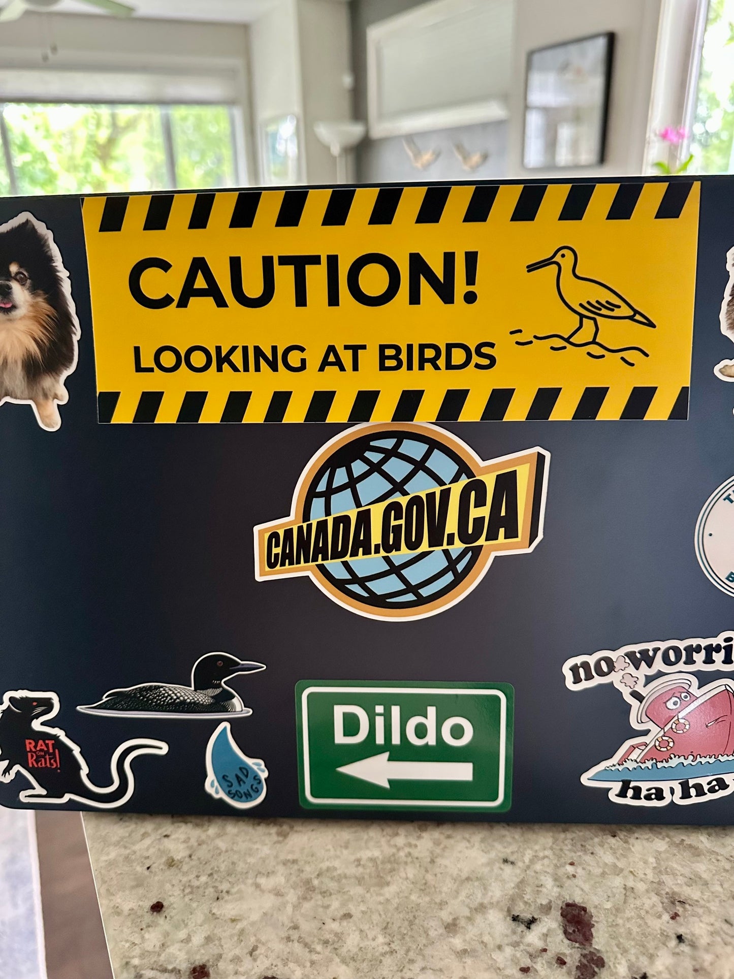 Caution Looking at Birds Bumper Sticker: Weatherproof Vinyl
