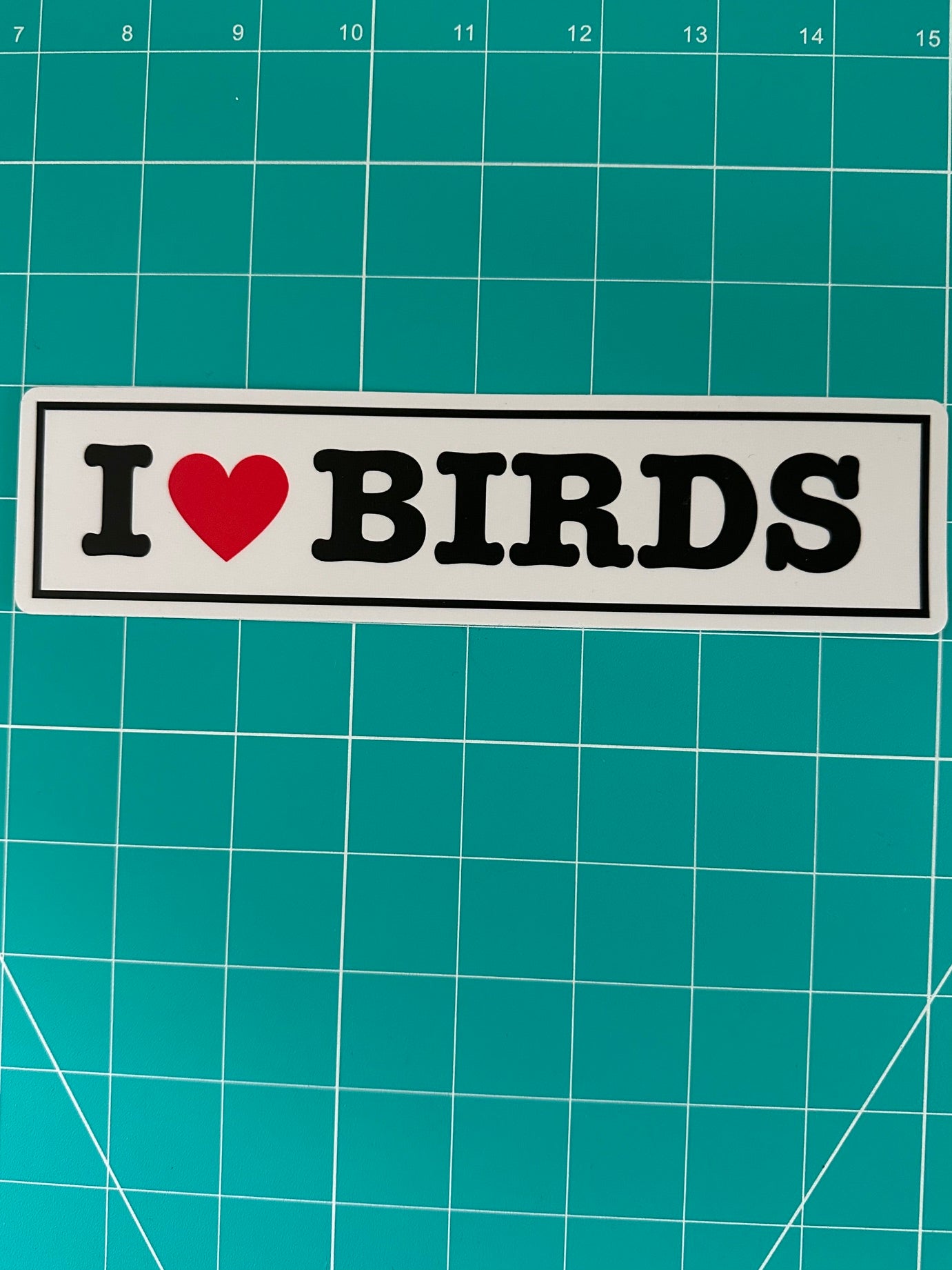I Love Birds Bumper Sticker: I Heart Birds - Weatherproof Vinyl