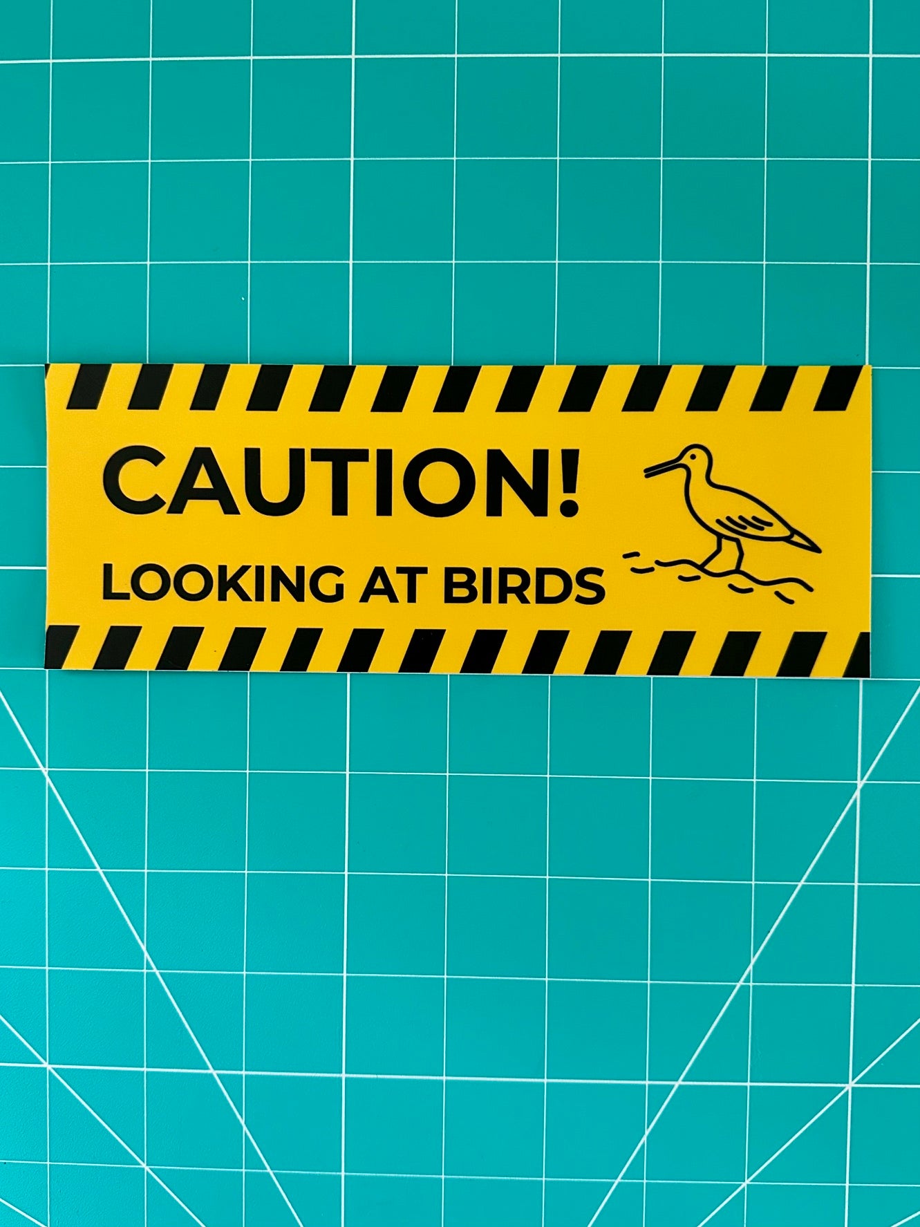 Caution Looking at Birds Bumper Sticker: Weatherproof Vinyl