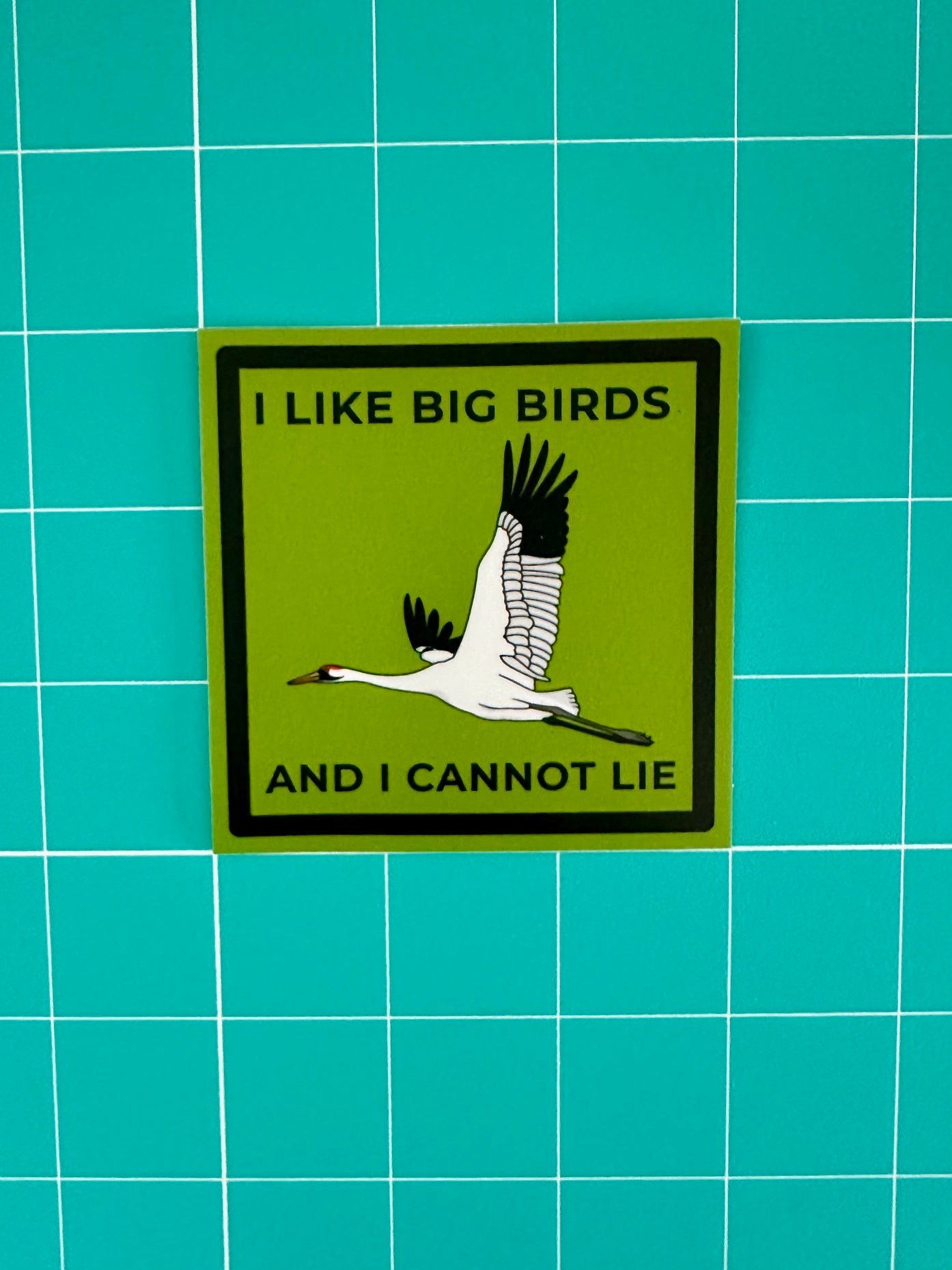 I Like Big Birds and I Cannot Lie Sticker | Weatherproof Vinyl