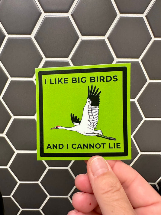 I Like Big Birds and I Cannot Lie Sticker | Weatherproof Vinyl