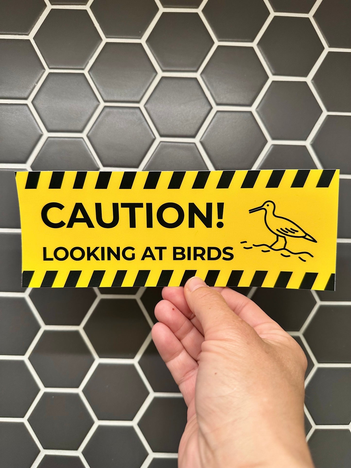 Caution Looking at Birds Bumper Sticker: Weatherproof Vinyl