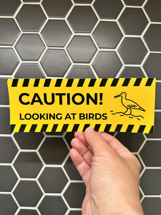 Caution Looking at Birds Bumper Sticker: Weatherproof Vinyl