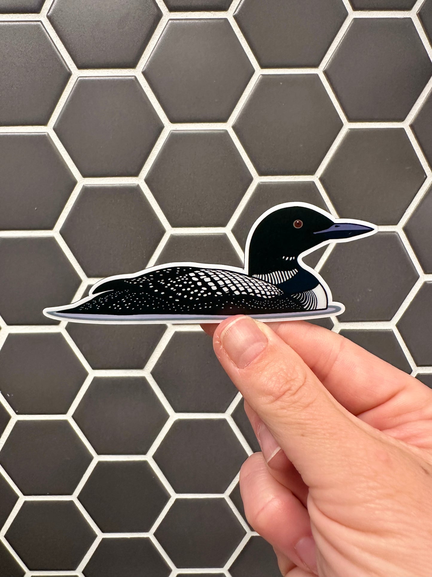Magnet! Common Loon Fridge Magnet