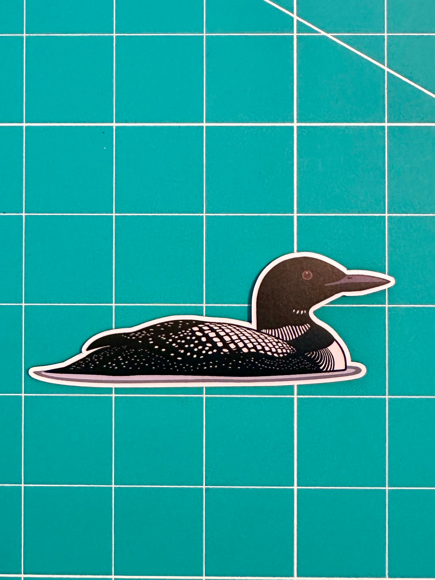 Magnet! Common Loon Fridge Magnet