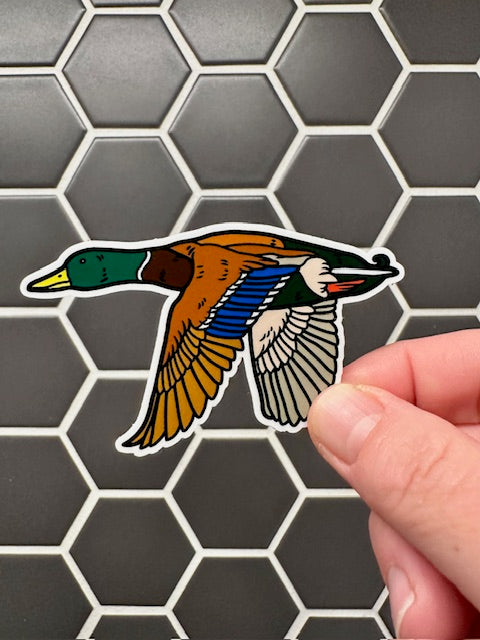Mallard Sticker: Vinyl Bird Sticker