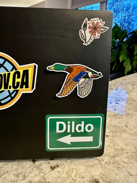 Mallard Sticker: Vinyl Bird Sticker