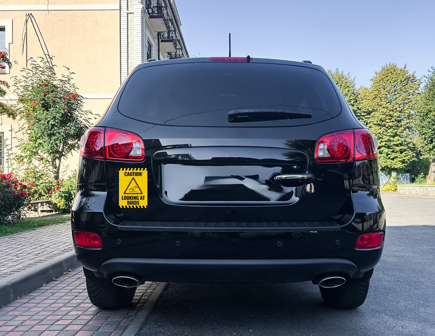MAGNET! Caution Sign for Car While Bird Watching
