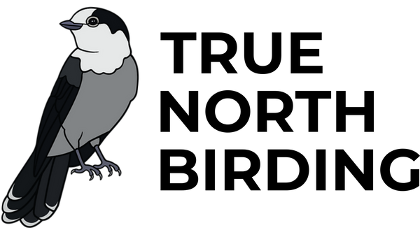 True North Birding