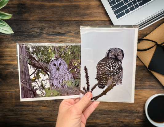 Two owl cards held by a hand on a wooden desk with a laptop and coffee cup.