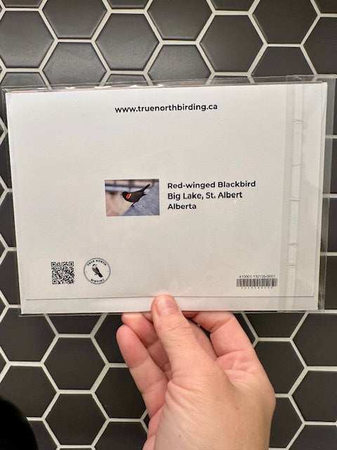 back of card held against a tiled wall